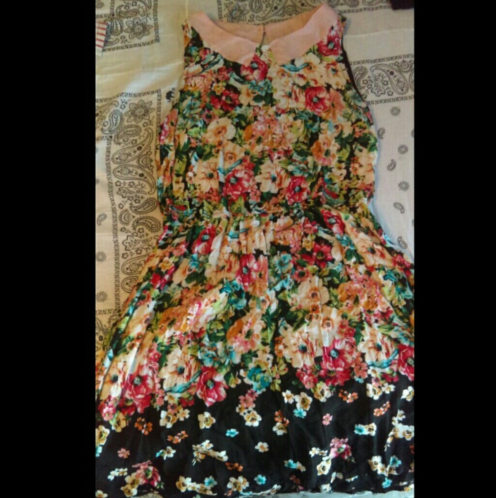 Bluebird and Floral Dress